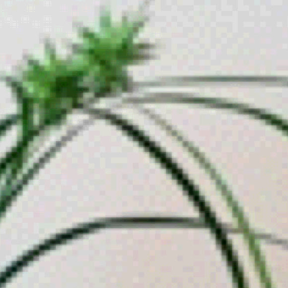 Spotting Image 1