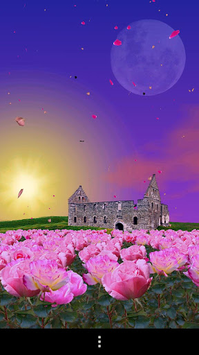 免費下載個人化APP|Rose Garden Live Wallpaper app開箱文|APP開箱王