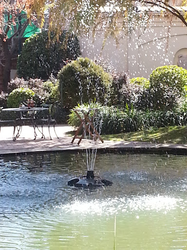 Duck Pond Fountains