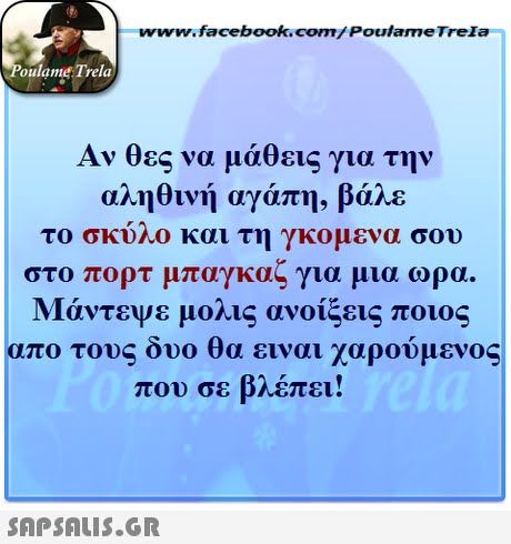 www.facebook.com/ Poulame Trela oulame Trela Αν θες να μάθεις για την αληθινή αγάπη, βάλε το σκνο και τη γκομενα σου στο πορτ μπαγκαζ για μια ωρα Μάντεψε μολις ανοίξεις ποιος απο τους δυο θα ειναι χαρούμενος που σε βλέπει! 