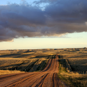 by Tashina Azure - Landscapes Prairies, Meadows & Fields