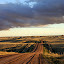 by Tashina Azure - Landscapes Prairies, Meadows & Fields
