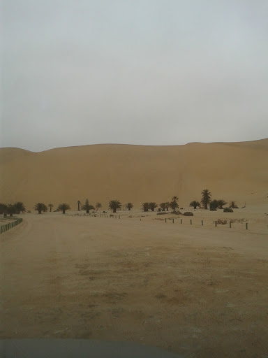 Dune 7