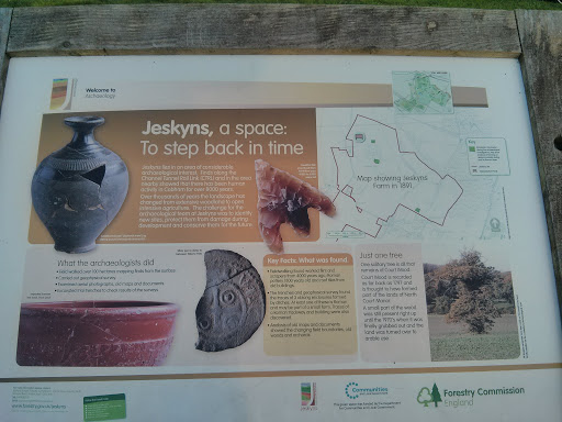 Jeskyns Park 