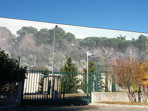 Mural Vegetacion