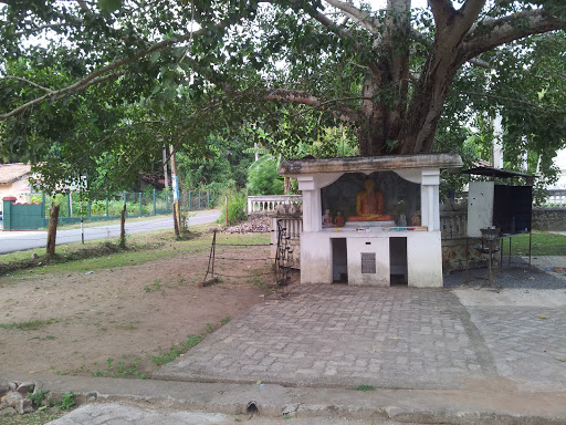 Buddha Statue and Bo Tree at Sudharshanaramaya Temple