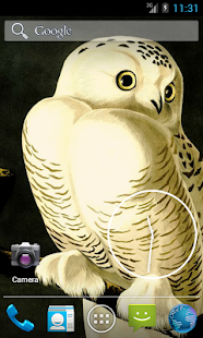 How to download Audubon's OWLS HD+ Wallpaper 1.1 unlimited apk for android