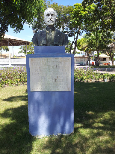 Monumento Coronel Francisco Ribeiro De Vasconcelos 