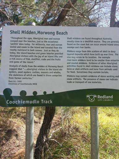 Shell Midden, Morwong Beach