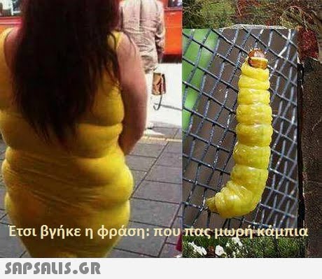 Ετσι βγήκε η φράση: που πας μορηκα πια 