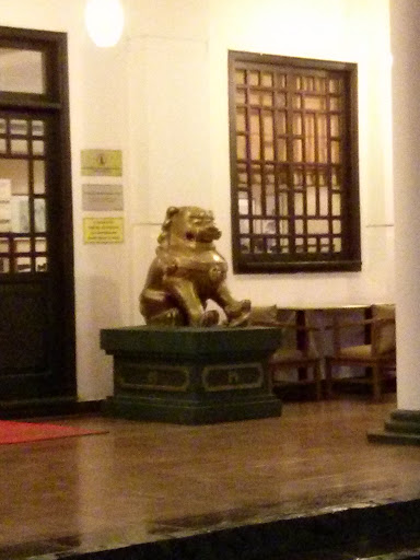 León Chino - Chinese Lion