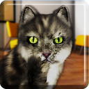 Talking Cat Funny mobile app icon