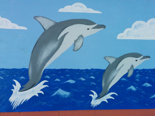 Jumping Dolphin Mural