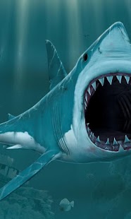 How to get Shark Wallpapers 1.0 unlimited apk for android