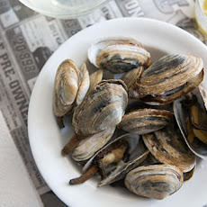 New England Steamers