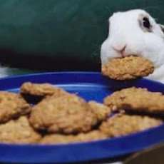 ° Pumpkin Plus ° Pet Bunny Rabbit Treats