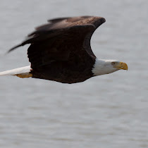 James River National Wildlife Refuge