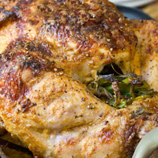 Asian Turkey