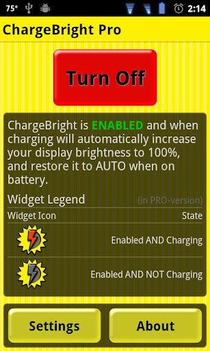 ChargeBright Pro