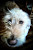 User profile picture thumbnail