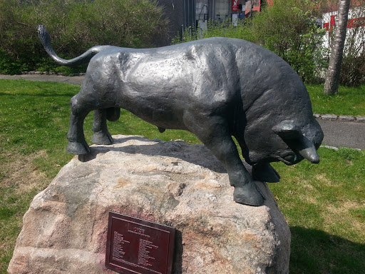 Bull on Stone