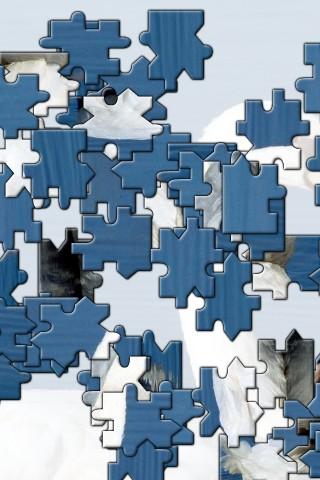 Apple Jigsaw Puzzle