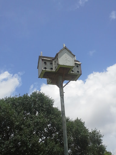 Giant Birdhouse