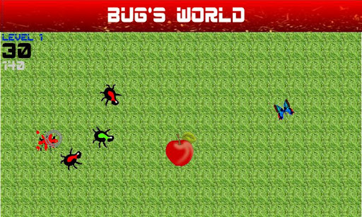 Bug's World