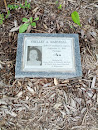 Shelley A.Marshall Memorial