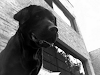 Teo Está Perdido Desde El 07 De Mayo De 2008