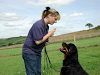 Manual Curso Saber Escuchar Al Perro Mascotas