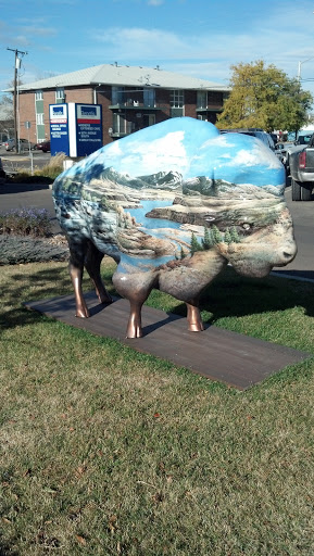 Benefis Painted Buffalo