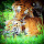 Wild Love 