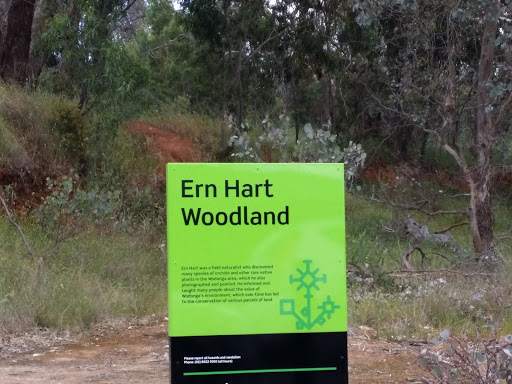 Ern Hart Woodland