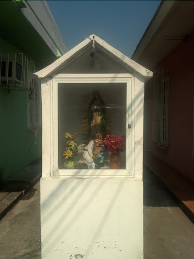 Virgen De Guadalupe De Flores Magon