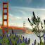 Golden Morning by Mick Brinkmann - Buildings & Architecture Bridges & Suspended Structures