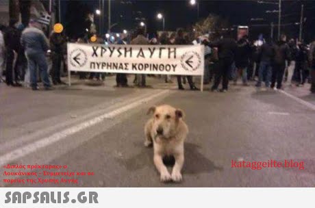 / ΠΥΡΗΝΑΣ ΚΟΡΙΝΟΟΥ . kataggeilte bloe Λουκάν SAP SALis.or