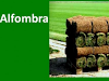 Pasto Palmeta Natural Y Artificial 83325405