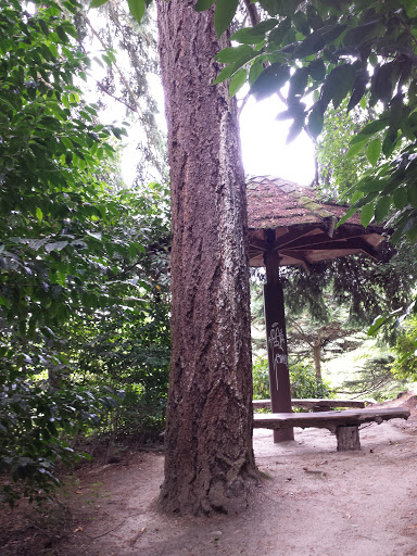 Forested Kubota Pavilion