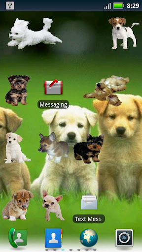 Puppy Widgets