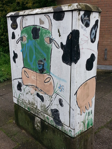 Cow on the Box