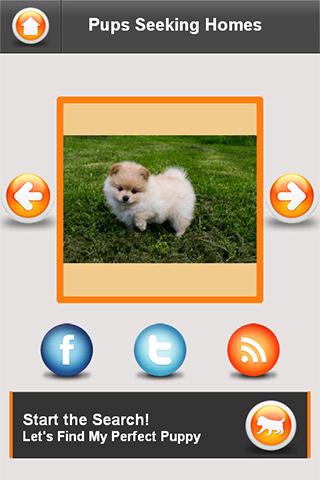 【免費生活App】Puppies Seeking Homes UK-APP點子