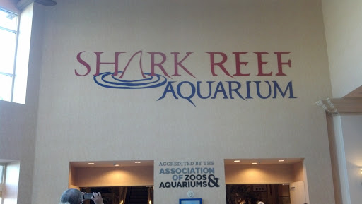 Shark Reef Aquarium 