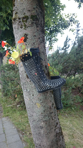 Boots in a Tree