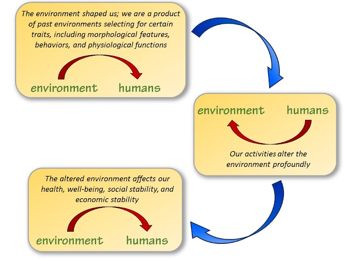 What is Human Ecology?