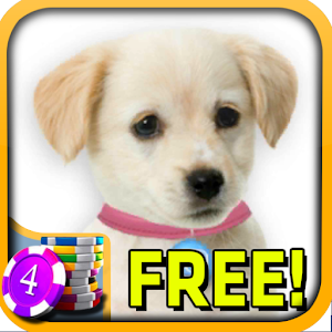 3D Puppy Slots - Free.apk 1.0