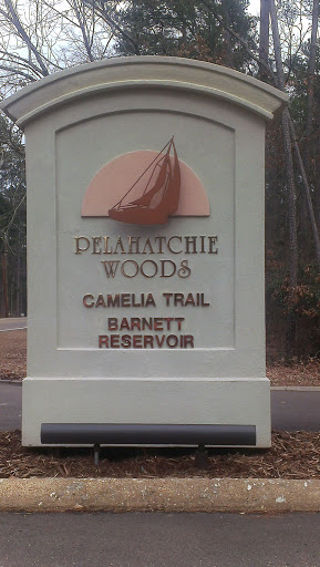 Pelahatchie Woods - Camelia Trail on the Ross Barnett Reservoir