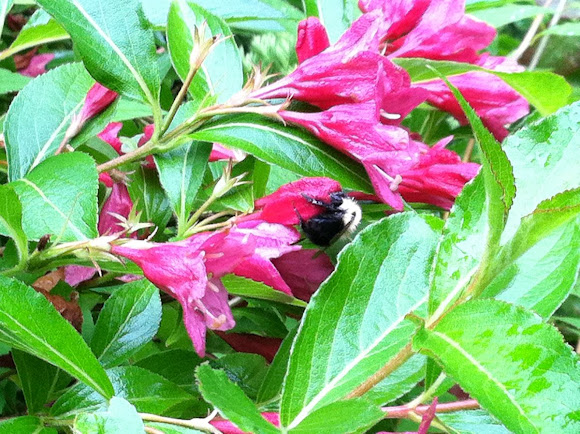 Spotting Image 1