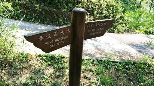 Tai Tam Reservoir , Wong Nai Chung Gap Road And Tai Tam Tuk Reaervior Waypoibt