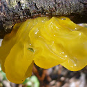 Witches' Butter